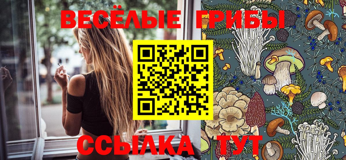 Галлюциногенные грибы прущие грибы  закладка  Железноводск  Вход с VPN 