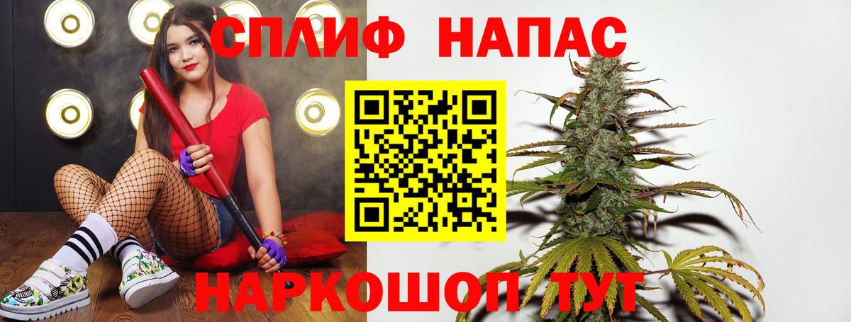 Каннабис OG Kush Железноводск